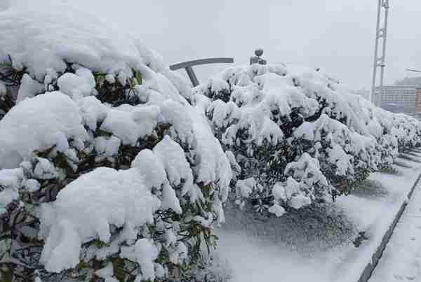 贵州省75个县域内出现降雪或雨夹雪