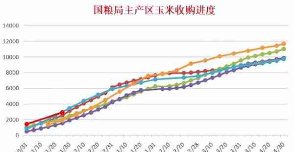 玉米价格分化，山东率先落价，盘面冲高回落，未来苞米如何运行？