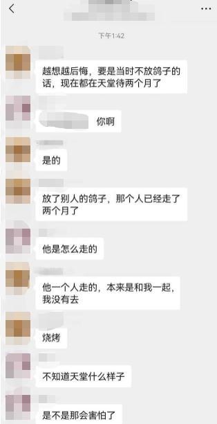 17岁儿子自杀后，父亲潜伏“约死群”里做“卧底”，发现背后的秘密……