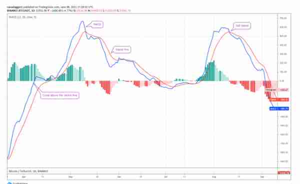 这是投资者可以使用 MACD 指标进行更好交易的 5 种方式