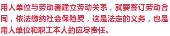 @静安人，“社保缴纳”这四件事要记牢！很多人第一条就中招了......