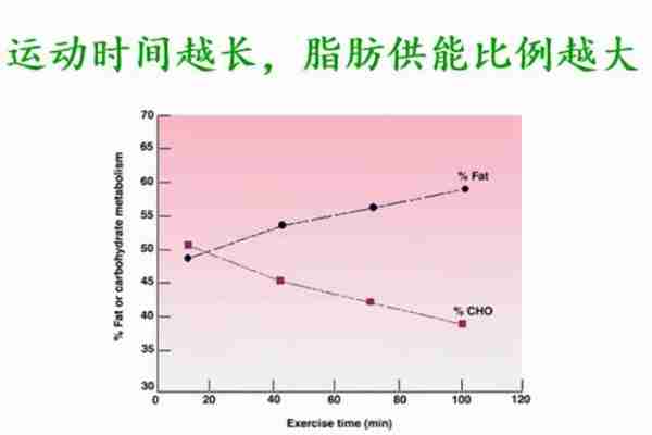 高效减脂跑五要素：冬季这样跑，轻松、无伤还掉肉