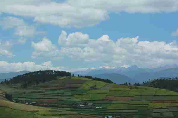 高要梯田天气