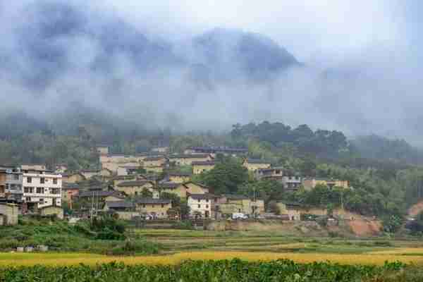 央媒看南平｜存入“绿水青山”取出“金山银山”—南平“生态银行”调查