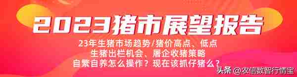 23年猪价预判，上半年触底，下半年能到20元吗？