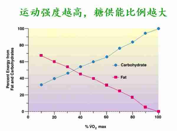 高效减脂跑五要素：冬季这样跑，轻松、无伤还掉肉