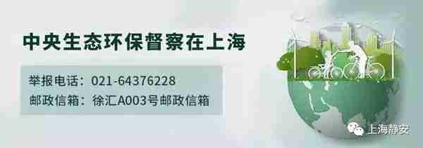 @静安人，“社保缴纳”这四件事要记牢！很多人第一条就中招了......