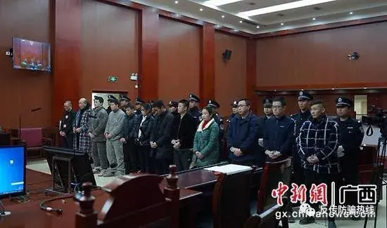 购买“U宝”为获利 “高额返利”一场空——12名被告人组织、领导传销活动案今日公开宣判