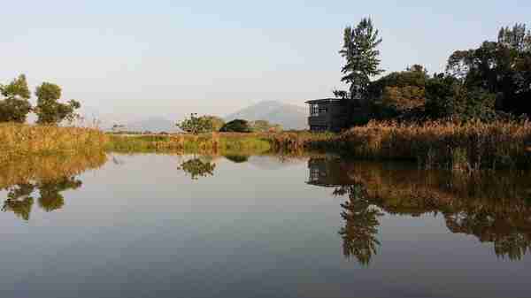 鹤鸣湖湿地