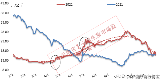 23年猪价预判，上半年触底，下半年能到20元吗？