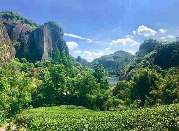 撸遍武夷山之四：武夷宫—大王峰—马头岩—大红袍—天游峰—九曲—星村穿越