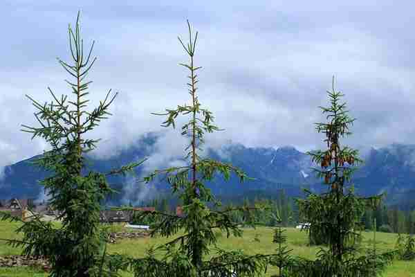 布袋山风景区在哪里